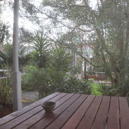 אופוטיקי Oasis Accommodation מראה חיצוני תמונה